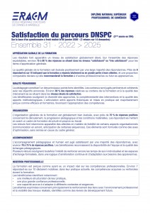 DNSPC - satisfaction Ensemble 31