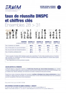 DNSPC - Taux de réussite Ensembles 28 > 31