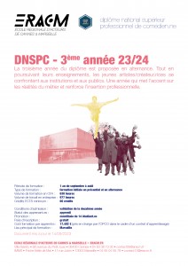 DNSPC - parcours 3ème année en alternance